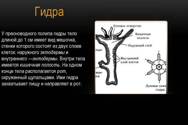 Ссылки на сливы в мега