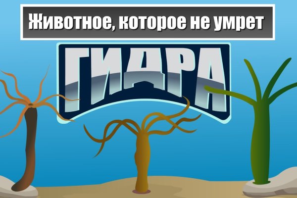 Мега в даркнет